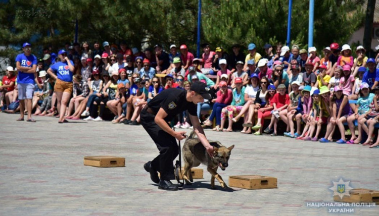 Под Мариуполем в детском лагере собаки обнаружили оружие и обезвредили «злоумышленника» (ФОТО)