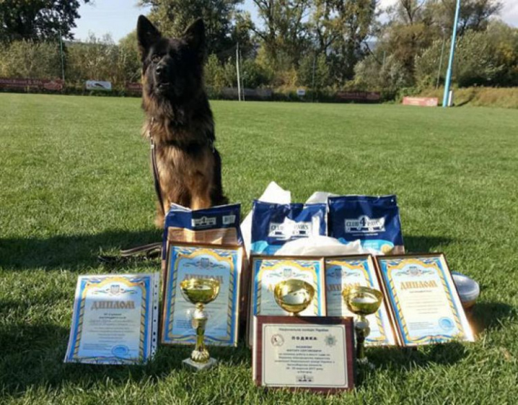 Пес-полицейский из Мариуполя победил в трех номинациях на международном чемпионате (ФОТО)