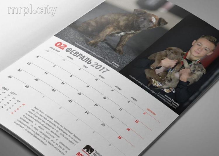 Мариупольские спортсмены создали календарь с бездомными животными (ФОТО)