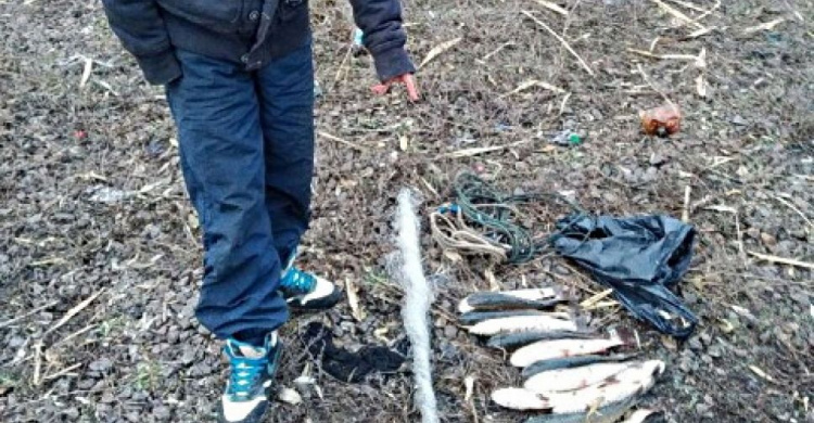 Мариупольский браконьер в Кальчике выловил рыбы на 10 тысяч гривен