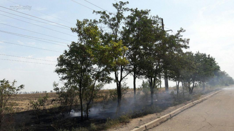 На окраинах Мариуполя горят поля. Огонь приблизился к домам и школе (ФОТО+ВИДЕО)