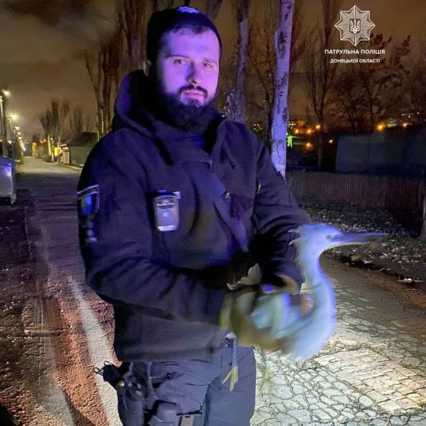 В Мариуполе полицейские спасли маленькую цаплю от хищницы