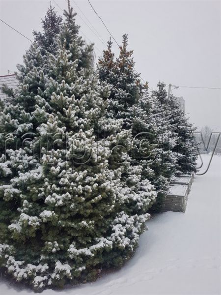 Заснежило: Мариуполь в середине зимы укрыт белым полотном (ФОТОРЕПОРТАЖ)
