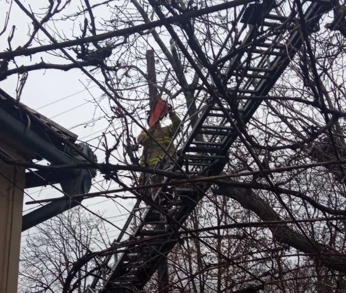 Мариупольские спасатели устранили потенциальную опасность для жителей (ФОТО)