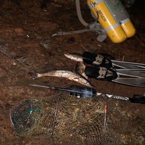 В Мариупольском районе браконьер с аквалангом нанес ущерб почти на 400 тысяч гривен