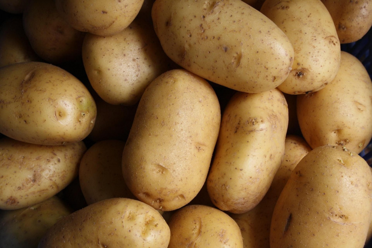 Ціни на картоплю знову ростуть – її вартість вже в чотири рази вища, ніж в минулому році