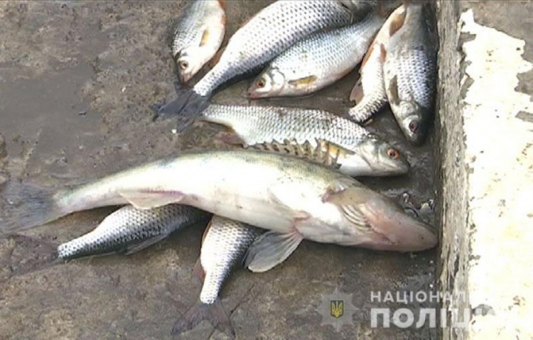 Мариупольцы ловят рыбу в нерест: браконьерам грозит лишение свободы (ФОТО)