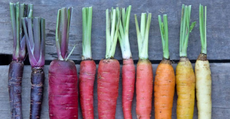 Оранжевое настроение: что приготовить мариупольцам во Всемирный день моркови? (ФОТО)