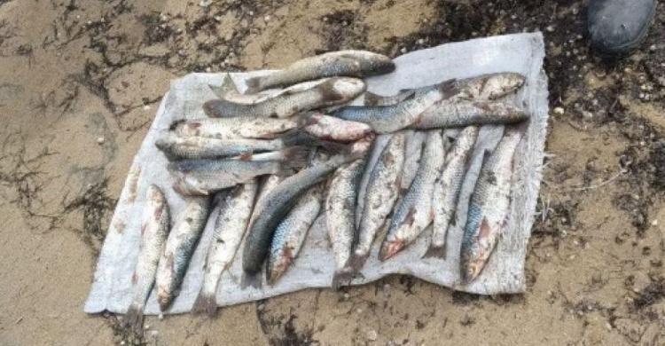 В поселке под Мариуполем браконьер наловил рыбы на 16 тысяч гривен (ФОТО)