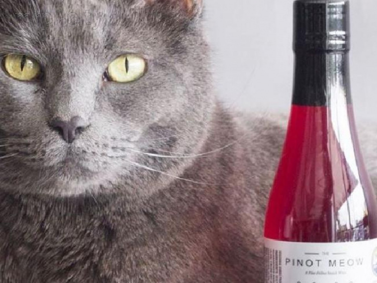 Пино Мурмяу: в Америке создали вино для животных