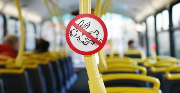 Мариупольские «зайцы»: разоблачения безбилетников в городском транспорте продолжаются