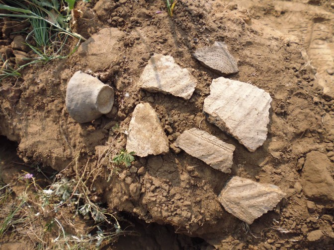 На Донетчине добыча песка привела к уничтожению древнего кургана  