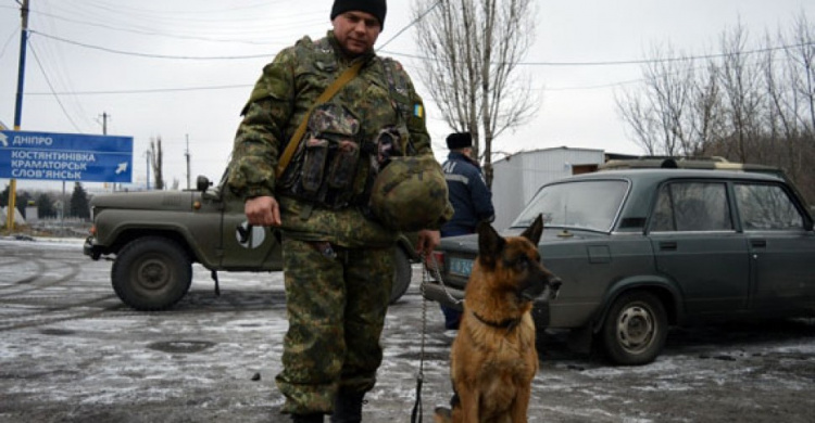 В Донецкой области собаки помогли изъять наркотики, 8000 патронов, более 50 гранат (ФОТО)