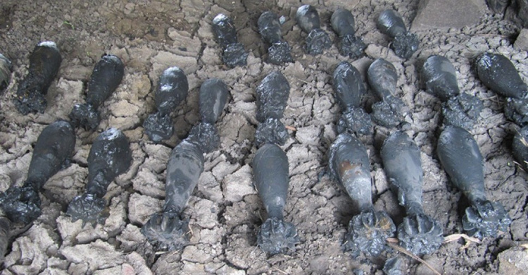 В Донецкой области из пруда выловили 30 минометных мин