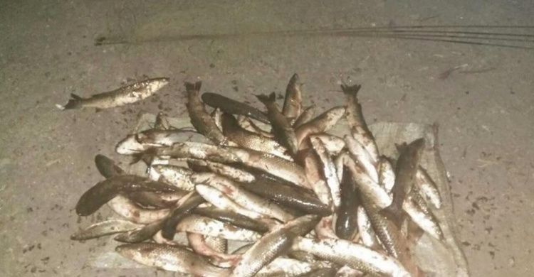 В Мариуполе поймали браконьера, который «Пауком» наловил рыбы на 19 тысяч гривен