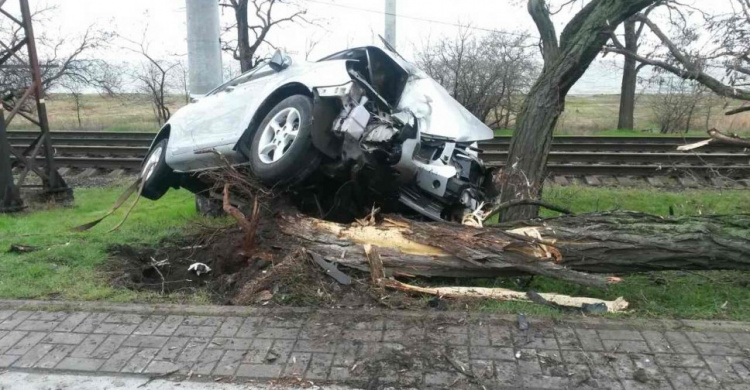 В Приморском районе Мариуполя автомобиль протаранил дерево (ФОТО)