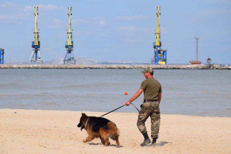 Легендарный мариупольский пес-полицейский проверил территорию феста (ФОТОФАКТ)