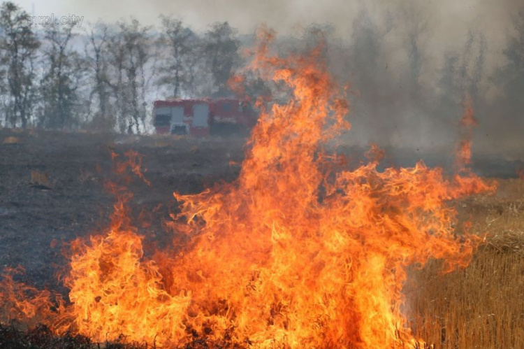Тушили 5 часов - спасатели показали борьбу с масштабным пожаром в поселке под Мариуполем (ФОТО+ВИДЕО)