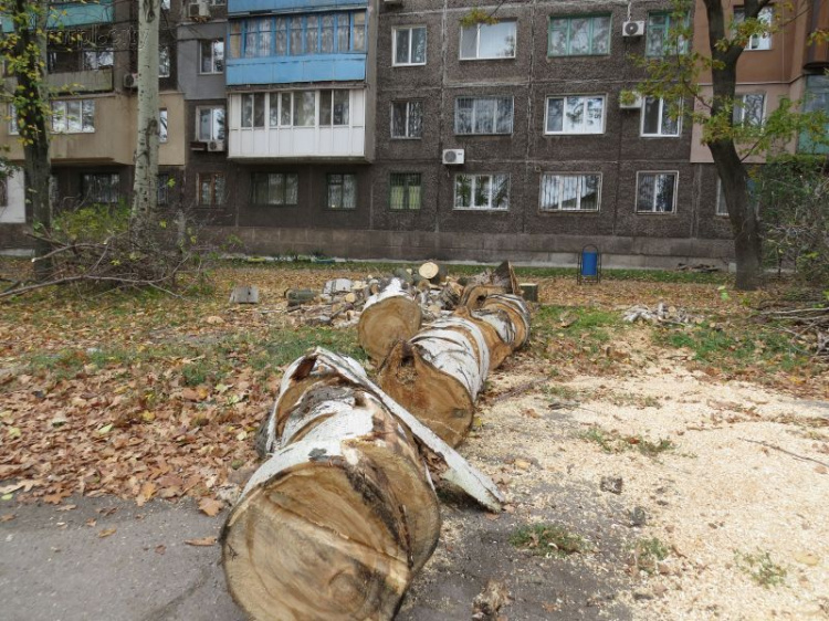 В Мариуполе срезали более 1700 деревьев