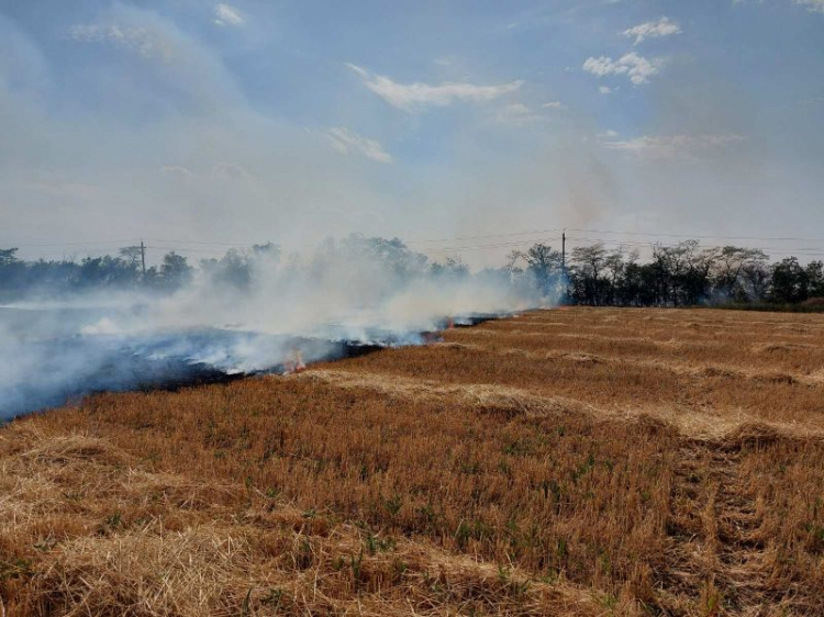 За сутки спасатели потушили 41 пожар в полях и лесах Донетчины