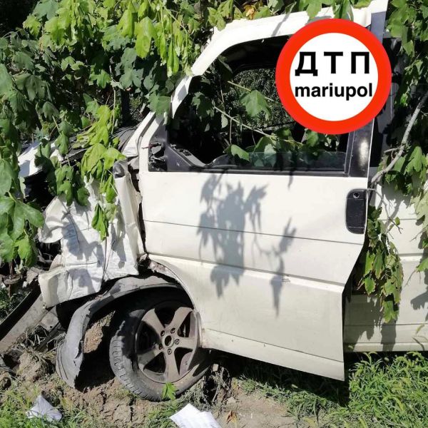 В Мариуполе микроавтобус снес дерево - у пассажира сломано ребро