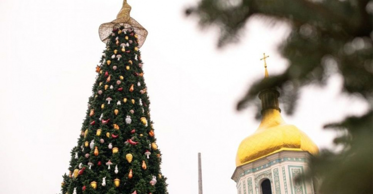Борьба за символы и эстетику: как будут выглядеть новогодние елки в городах Украины