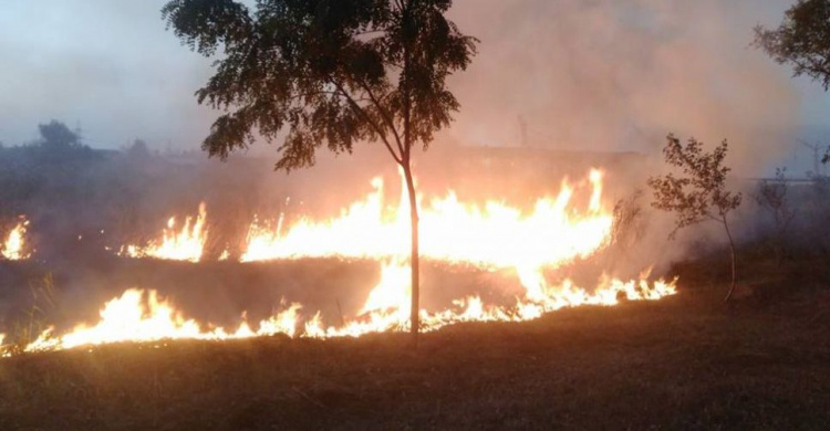 На Донетчине пожары за сутки уничтожили 2 га лесной подстилки и 22 га сухой травы (ФОТО)