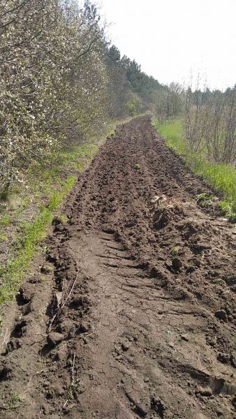 Въезд на территорию лесов запрещен: лесхоз проводит рейды в Донецкой области