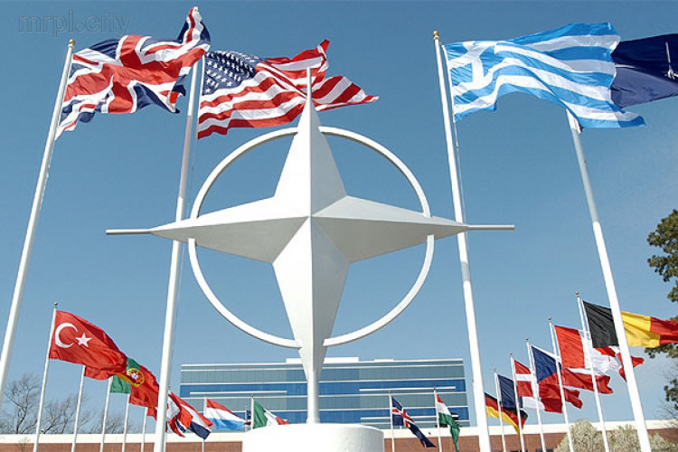НАТО осудило блокаду в Донбассе