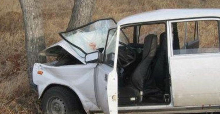 Под Мариуполем автомобиль врезался в дерево, пострадала пассажирка