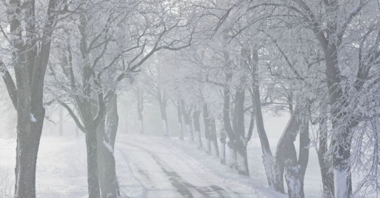 Заснеженный Мариуполь погрузится в туман, за которым последует оттепель