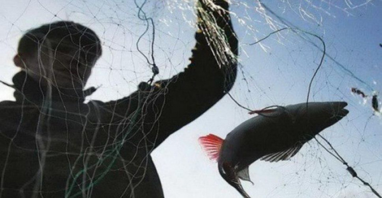 В Мариуполе браконьер наловил рыбы на более чем 30 тысяч гривен