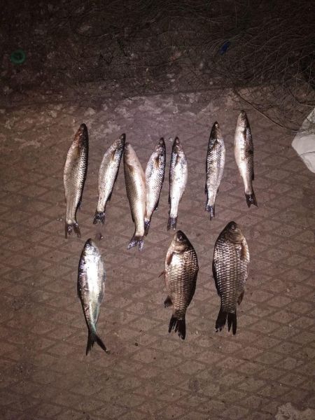 В последние дни апреля браконьеры в Мариуполе наловили рыбы почти на 70 тысяч гривен (ФОТО)