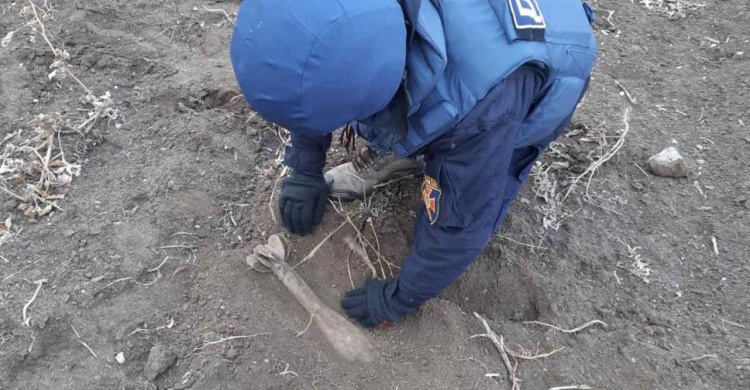Под Мариуполем возле дачного кооператива нашли минометную мину