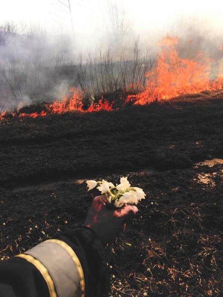 Более 800 пожаров в сутки: украинские спасатели показали жертв выжигания травы (ФОТО)