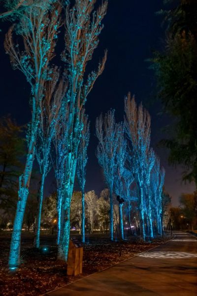 Эффект подводного мира: в Мариуполе завершили световое оформление Юбилейного парка им.Гурова