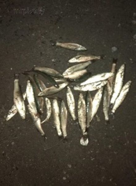 За выходные мариупольские браконьеры наловили рыбы на 46 тысяч (ФОТО)