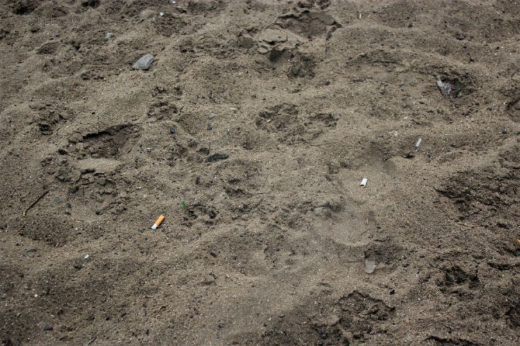 На пляжах Мариуполя оборудуют спецзоны для курильщиков (ФОТО)