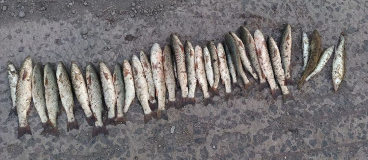 Мариупольский браконьер в штормовую погоду наловил рыбы на 21 тысячу гривен (ФОТО)