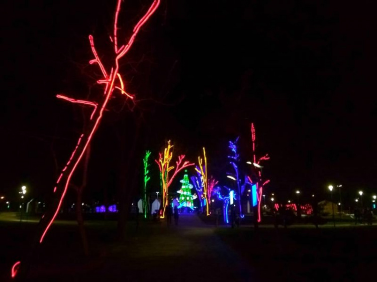 Ночная красота: в мариупольском парке засияла уникальная елка (ФОТО)