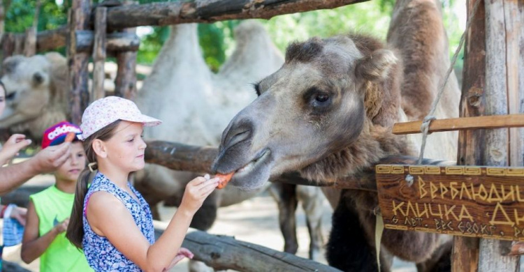 Мариупольским воспитанникам интерната подарили экскурсию по зоопарку (ФОТО)