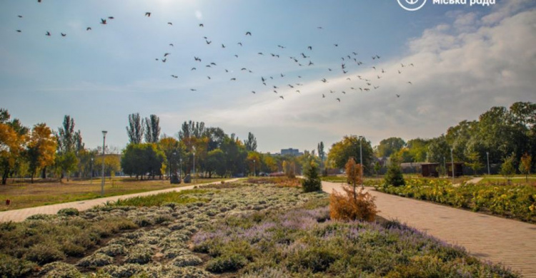 Реконструкция парка Гурова в Мариуполе: что уже выполнено?