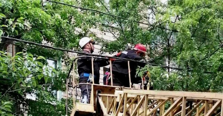 В Мариуполе деревья рвут электропровода: без света остались три дома (ФОТО)