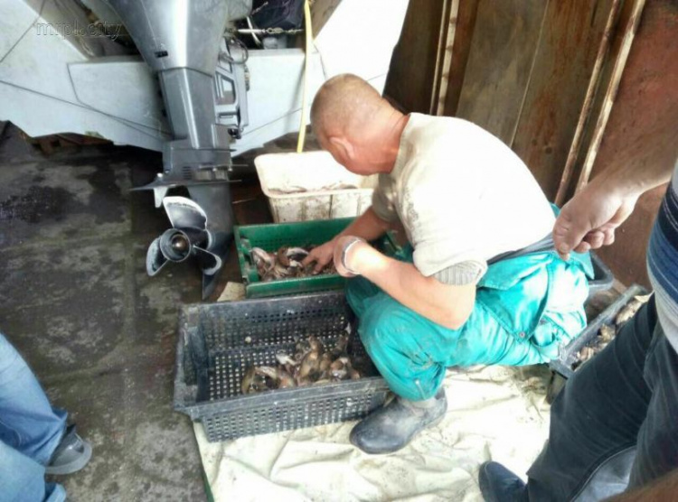 На побережье Мариуполя поймали браконьеров с уловом на 137 тыс. грн.