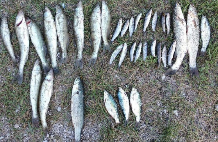 Незаконная рыбалка в Мариуполе обернулась мужчине предстоящим судом (ФОТО)