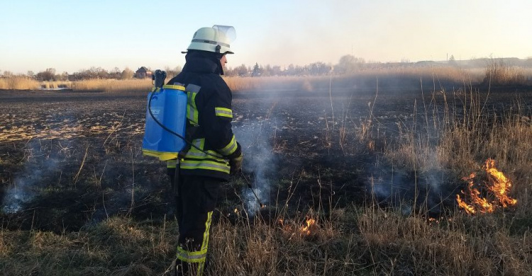 В Донецкой области за день вспыхнуло более 20 пожаров (ФОТО)