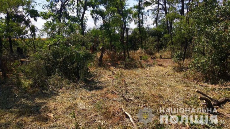 На Донетчине «черные лесорубы» закопали труп (ФОТО)