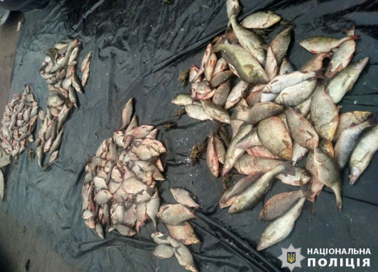 Браконьер в Мариуполе наловил более 300 кг рыбы во время нерестового запрета