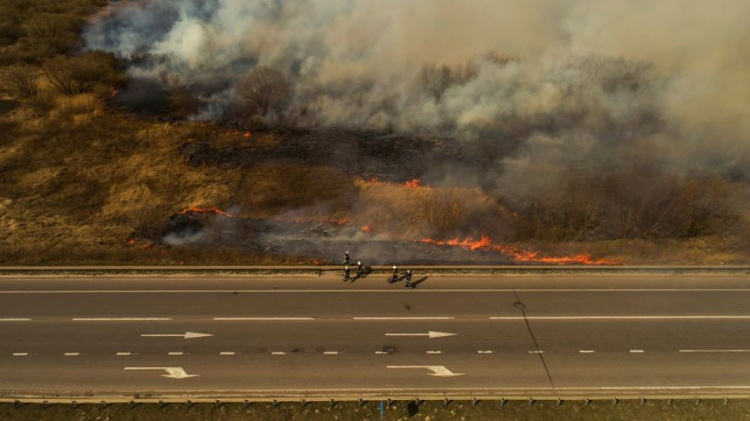 Более 800 пожаров в сутки: украинские спасатели показали жертв выжигания травы (ФОТО)
