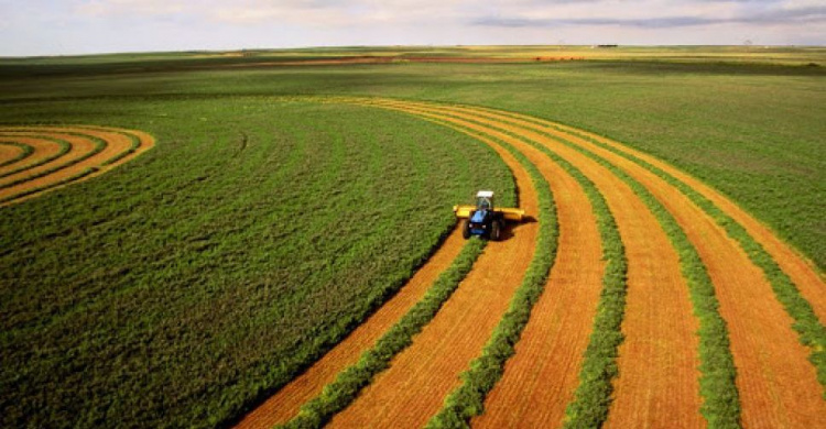 Децентрализация в Украине: после выборов государство передаст сельхозземли в коммунальную собственность